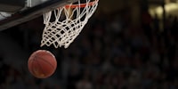 国际篮球联合会FIBA合作伙伴标识